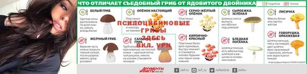 гидра Аркадак