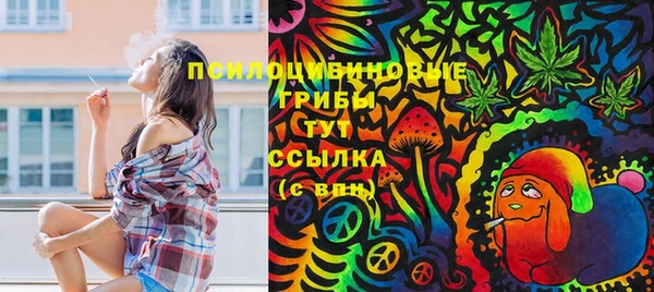 гидра Аркадак