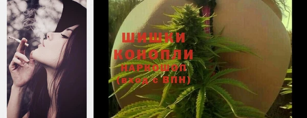 бошки Алексин