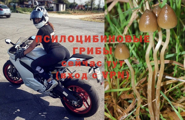 СК Алзамай