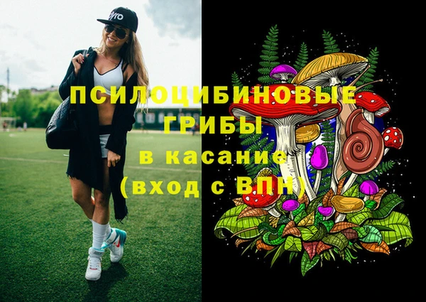 СК Алзамай
