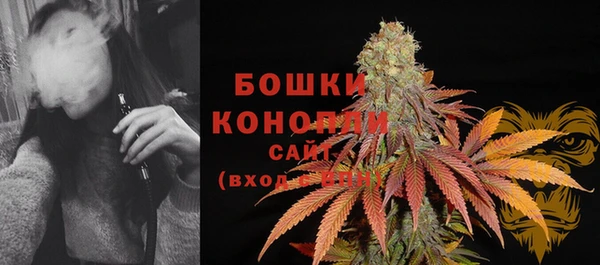стаф Арсеньев