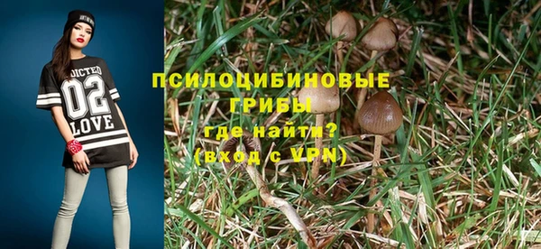 гидра Аркадак