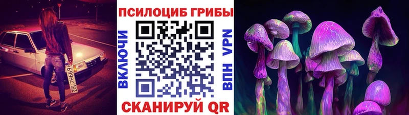 Галлюциногенные грибы мицелий  KRAKEN вход  Лахденпохья  купить наркоту 